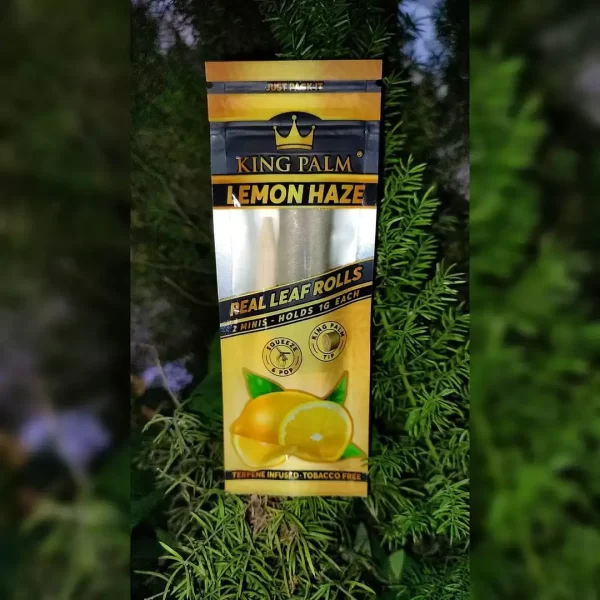 Flavors King Palm - Imagen 6
