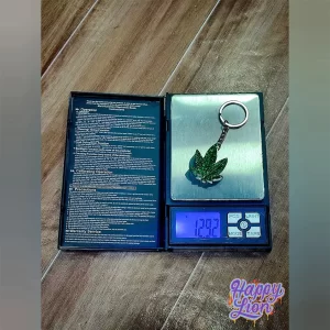 Gramera notebook