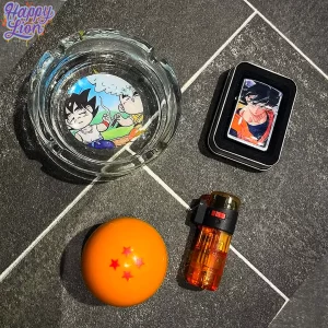 Kit DragónBall z 1°
