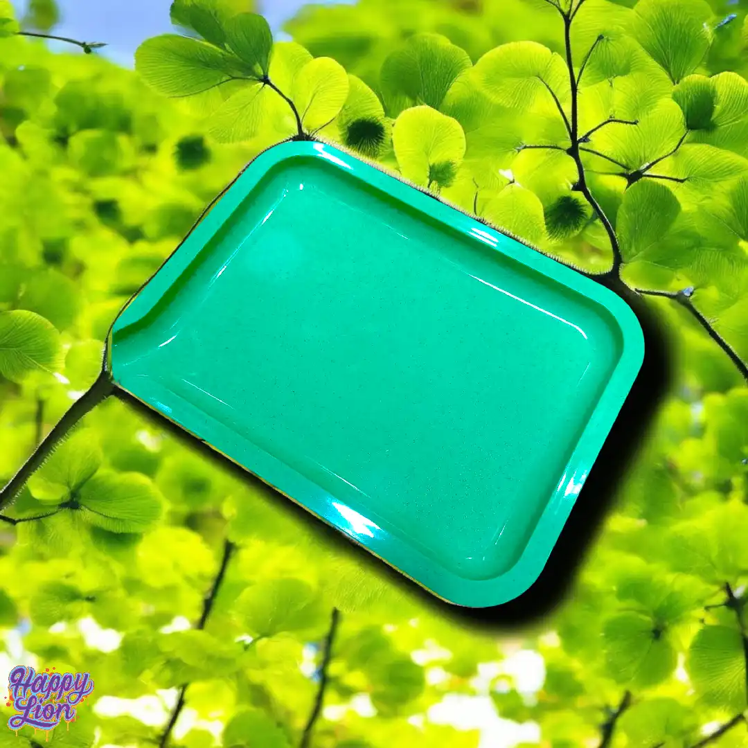 Bandeja biodegradable - Imagen 2