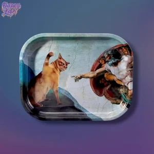 The creation of cat tray
